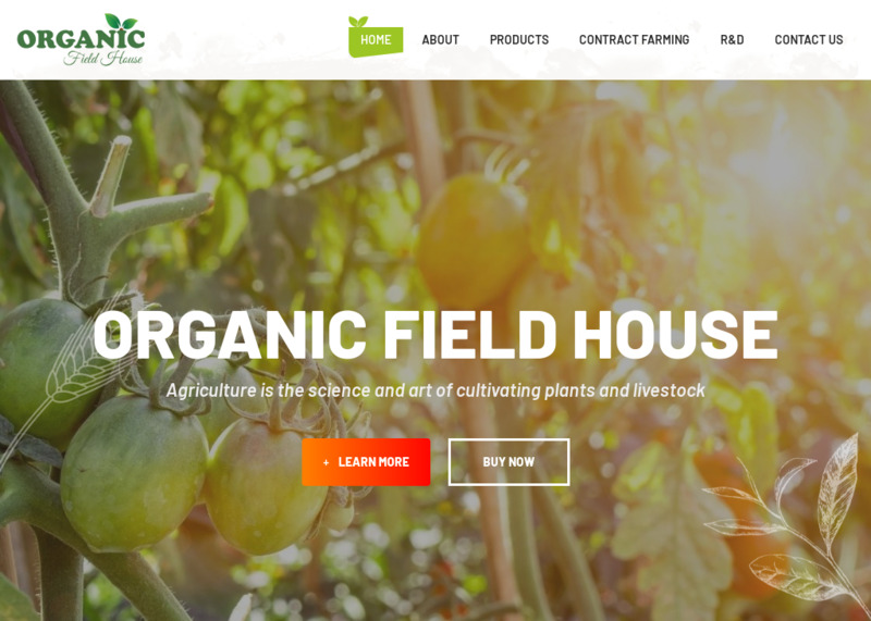 Organic Field House | Classic WebCity Bahadurgarh