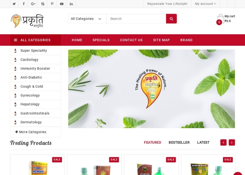 Prakriti Ayurveda | Classic WebCity Bahadurgarh